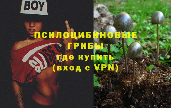 скорость Алзамай