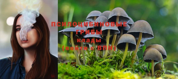 кристаллы Абаза
