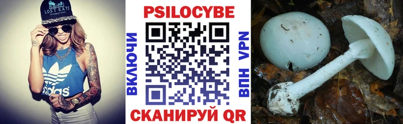 Галлюциногенные грибы прущие грибы  мега сайт  Пудож 
